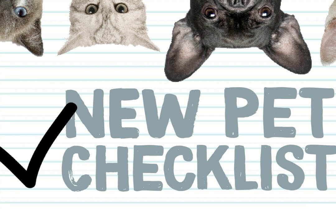 New Pet Tips & Checklist