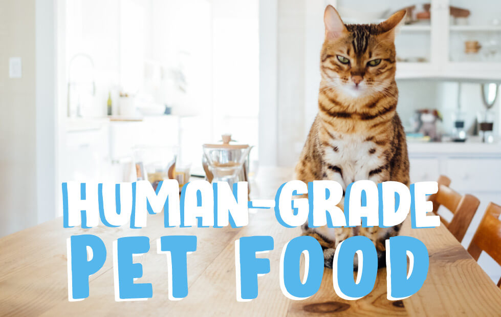 Human-Grade Pet Food