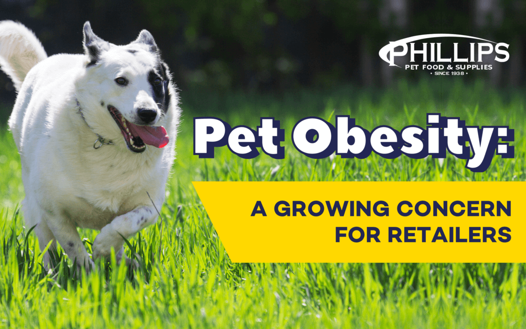 Pet Obesity: A Growing Concern for Retailers
